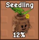 Seedling