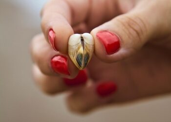 Beyond Cell travel phone mount on back of seat