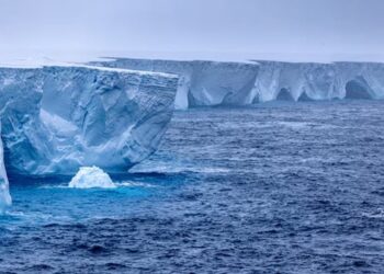 619689 4315283 updates.jpg