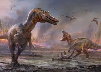 620401 3787780 updates.jpg