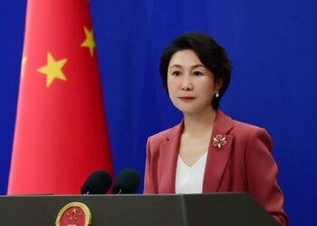 Beijing States No Chinese Citizens Among Pakistan Flood Deaths