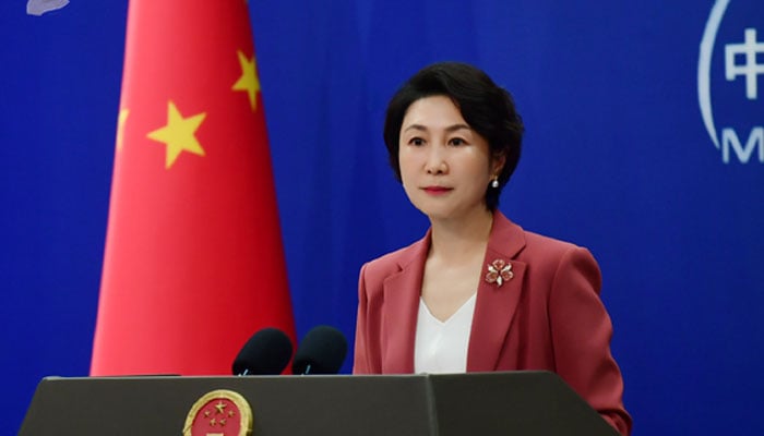 Beijing States No Chinese Citizens Among Pakistan Flood Deaths