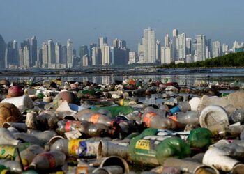 Geneva Talks Fail to Break Plastic Pollution Treaty Deadlock