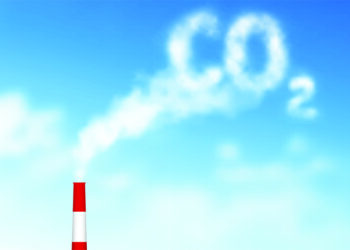 Guangdong Leads China with Judicial Backing for Carbon Quota Loans