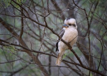 How To Appear Offline on Epic Games in 2025: A Step-by-Step Guide