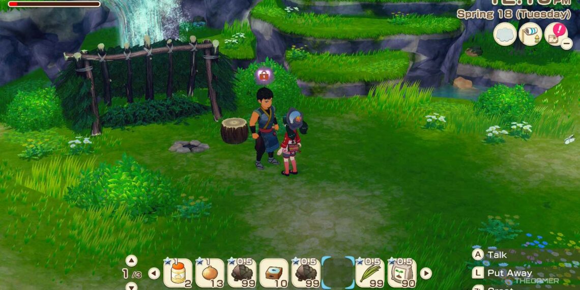 How to Romance Arata in Story of Seasons: Grand Bazaar by Completing & Solving