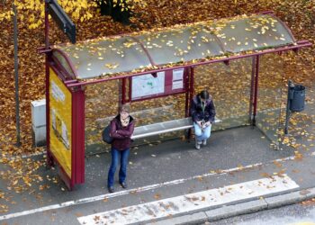 Windows 11 Update Ärger am Laptop