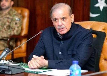 PM Shehbaz Calls for Global Action Against Israel's 'Illegal' Gaza Plan
