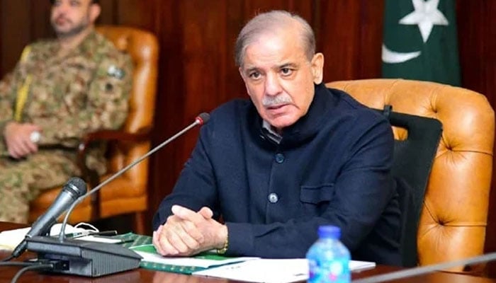 PM Shehbaz Calls for Global Action Against Israel's 'Illegal' Gaza Plan