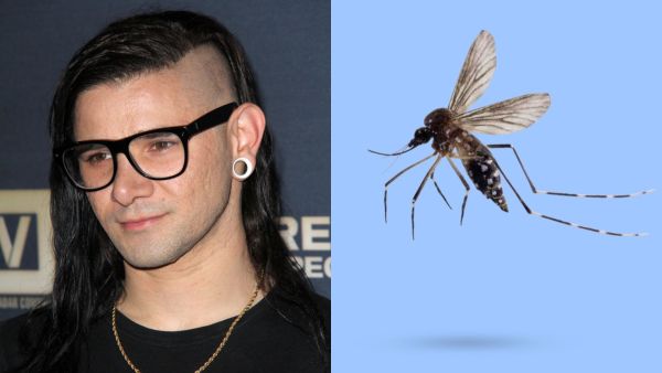 Study: Skrillex Music May Shield You from Mosquito Bites