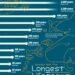 Animals With the Longest Lifespans
1. Glass Sponge – 10,000 years
2. Black C