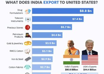 Top 10 Products India Exports to the USA

1.  Drug Formulations – $8.8 Bn
2.  Te