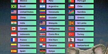 Top 40 Most Beautiful Countries in The World in 2025

1.  Australia
2.  Mexico
3