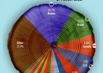 Countries by Forest Area Share in the World  

1.  Russia – 20.2%
2.  Brazil – 1