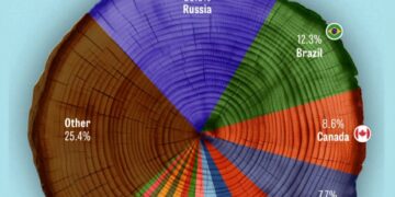Countries by Forest Area Share in the World  

1.  Russia – 20.2%
2.  Brazil – 1