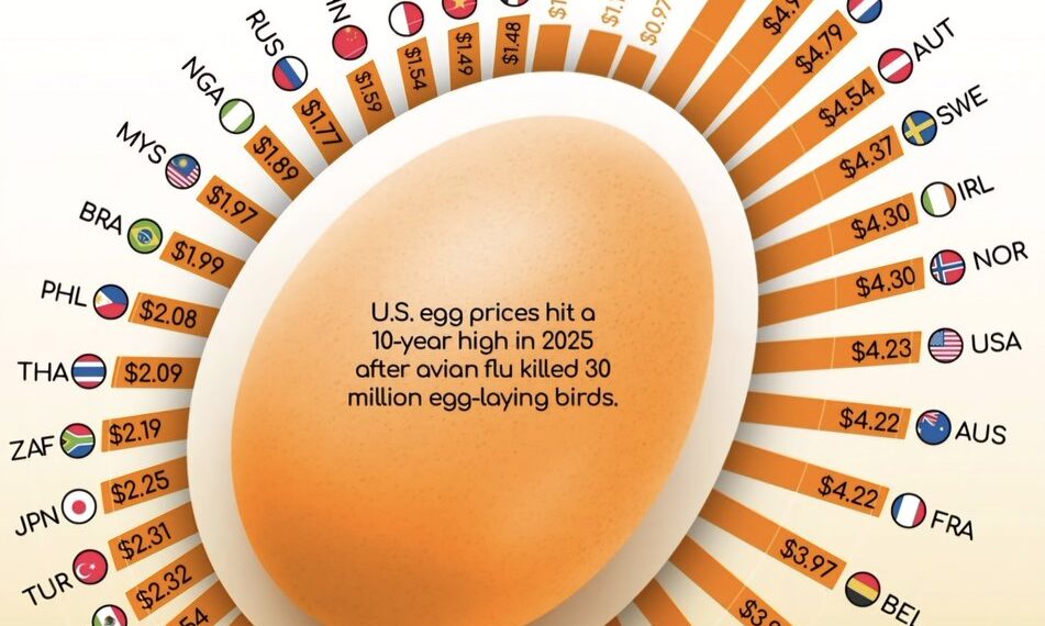 Global Egg Prices in 2025 Per Dozen  

1.  Switzerland - $7.31
2.  Denmark - $4.