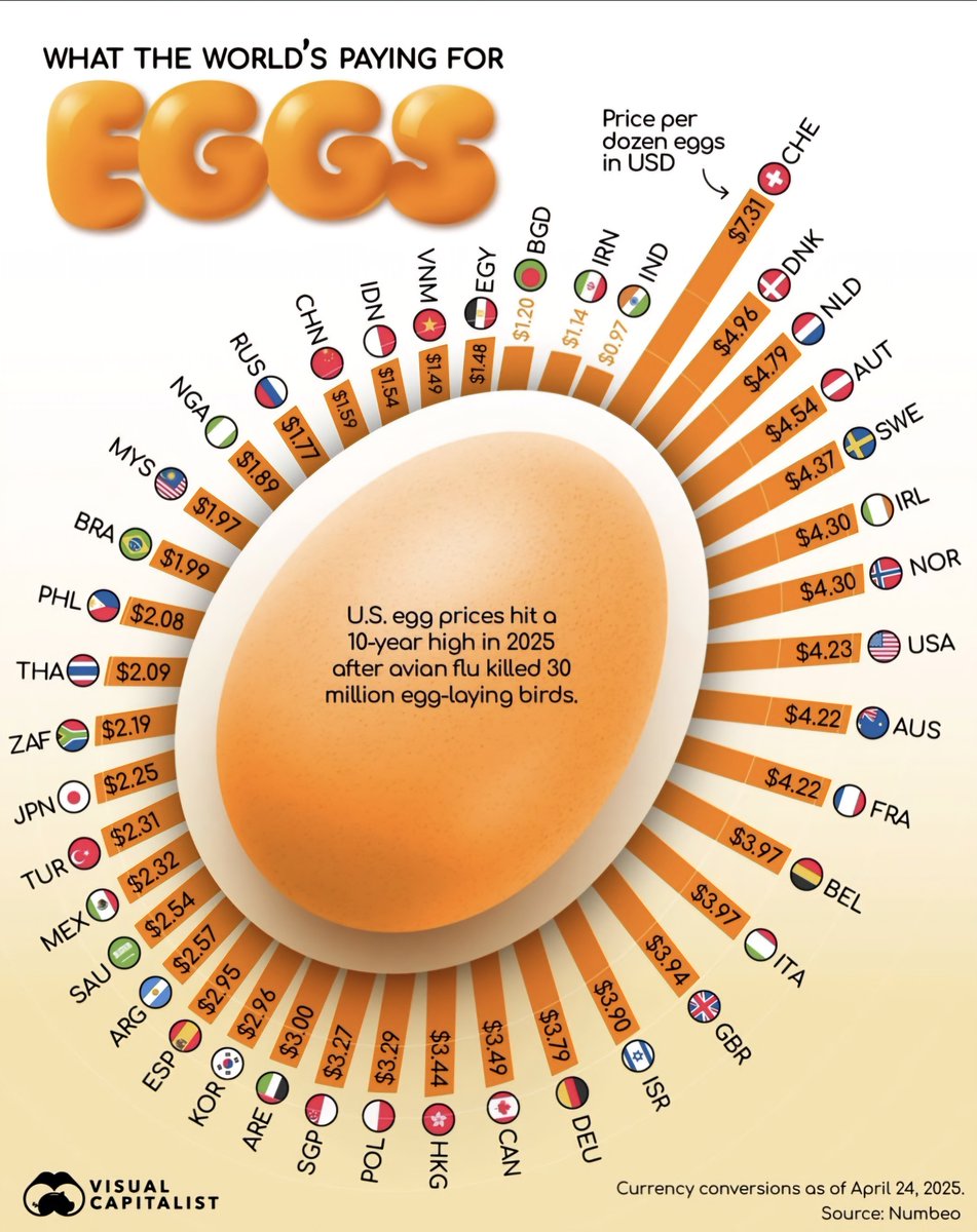 Top Global Egg Prices in 2025 Per Dozen