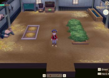 Top Items for Completing and Solving Quickly in Story of Seasons: Grand Bazaar