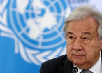 UN Reports Lack Readership, Says New UN Study