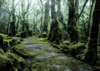 ai generated 7516316 960 720.jpg