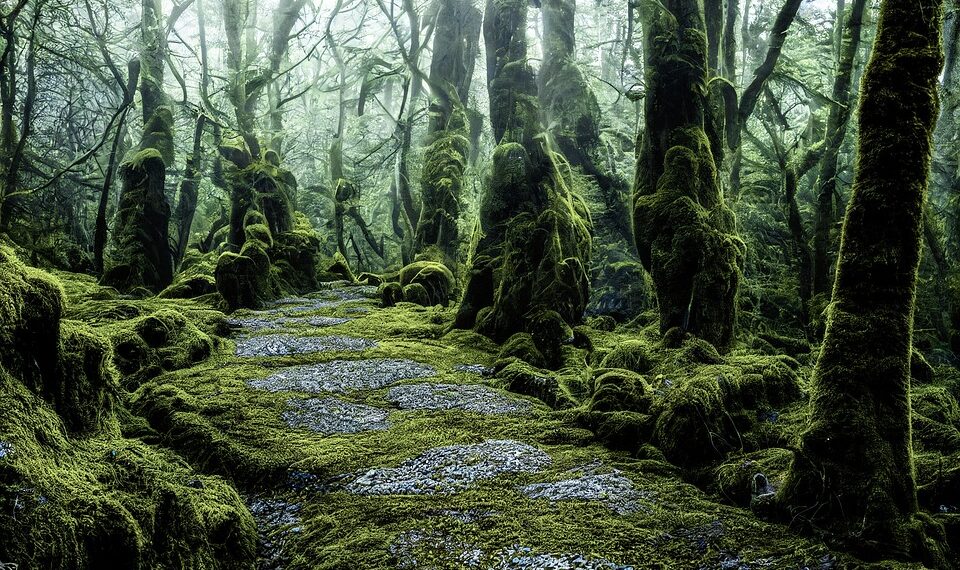 ai generated 7516316 960 720.jpg