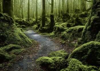 ai generated 7516317 960 720.jpg