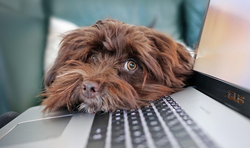 Laptop Frust