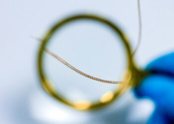 Chinese Researchers Develop Flexible Electrodes for Advanced Brain Implants