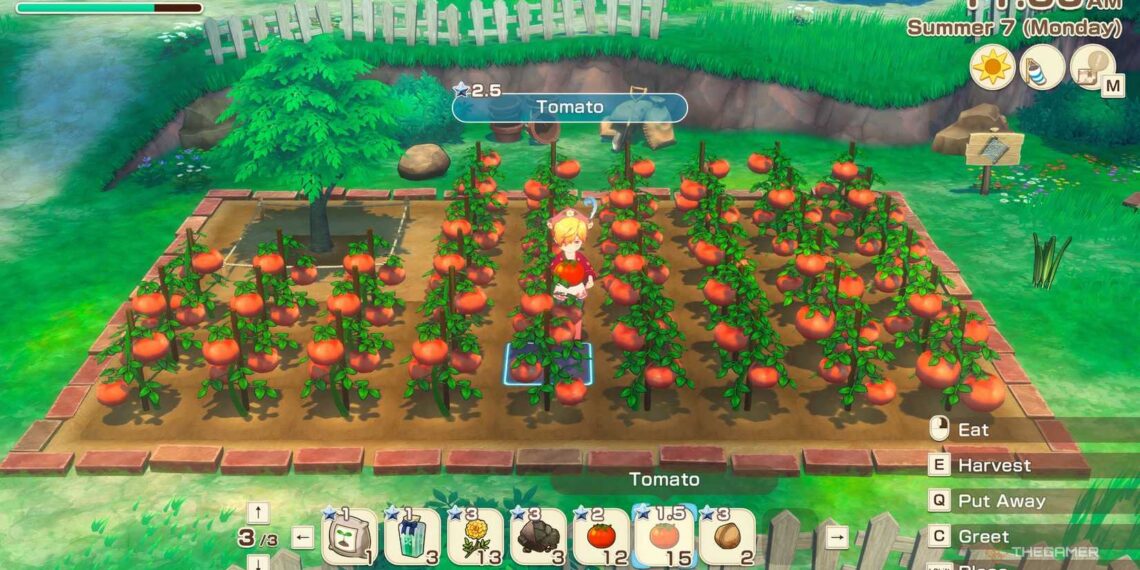 Complete Crop List & Sell Prices for Story of Seasons: Grand Bazaar