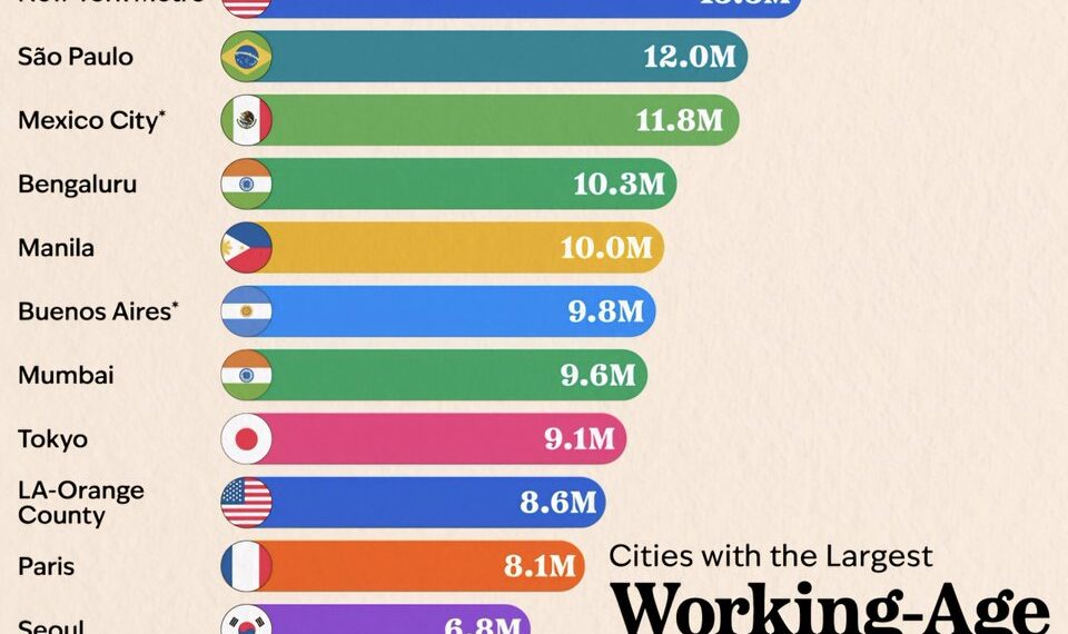 Top 20 Cities with the Largest Working-Age Populations