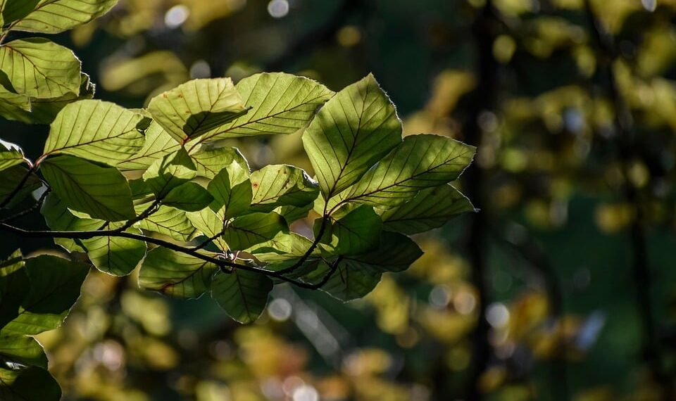 How To Improve Your TV Picture Quality For Free: 6 Effective Ways