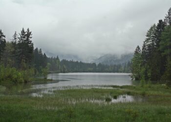 How to Capture Full Screen Specs on Your HP Notebook with Blocked FAQs