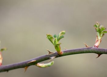 Wir zeigen, wie Sie den Ccleaner voll ausreizen.