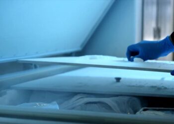 Japan Woman Arrested for 20 Years of Keeping Daughter’s Body in Freezer