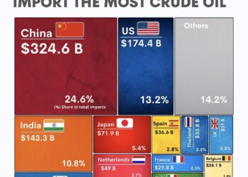 Top 15 Countries That Imported the Most Crude Oil in 2024