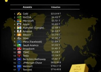 World's Top 20 Assets by Market Cap