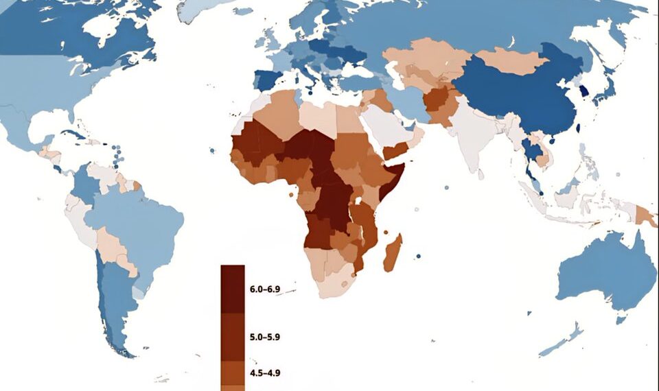 Fertility Rates Around the World

Pc: 𝕏/xruiztru