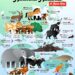 The National Animals of Asia-Pac
