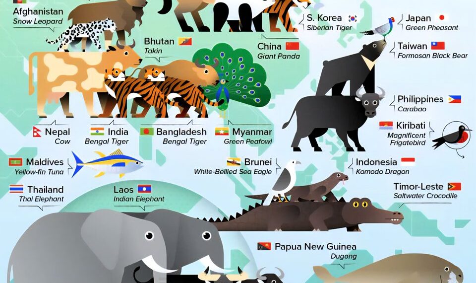 The National Animals of Asia-Pac