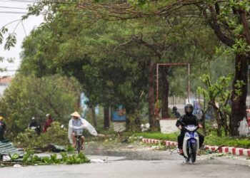 Typhoon Bualoi Strikes Vietnam, 13 Dead and 46 Hurt
