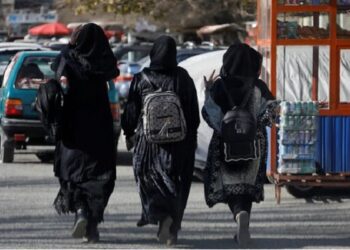 UN Urges End to Ban on Afghan Women Aid Workers in Local Roles