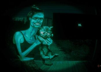 What Does the Mushroom Man Do in No, I’m Not a Human? Completing and Solving