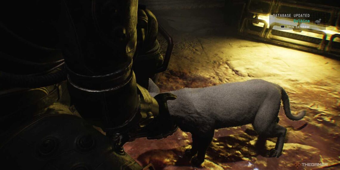 Where To Find And Pet All Cats In Cronos: The New Dawn