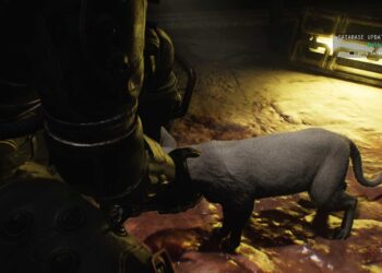 Where To Find And Pet All Cats In Cronos: The New Dawn