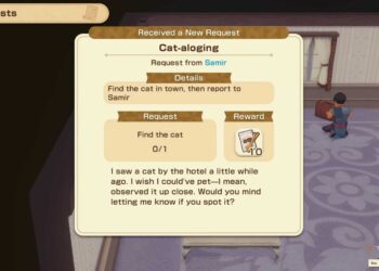 Where To Find Samir's Cat in Story of Seasons: Grand Bazaar During Completing and Solving