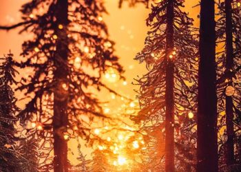 ai generated 7570058 960 720.jpg