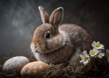 ai generated 7804788 960 720.jpg