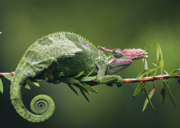 ai generated 8143233 960 720.jpg