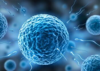 ai generated 8351899 960 720.jpg