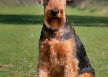 ai generated 8519743 960 720.jpg